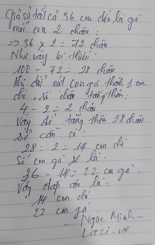 Hình ảnh minh họa giải bài tập trên Lazi