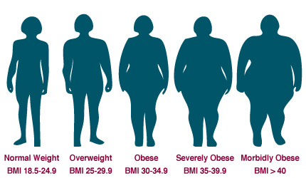 chỉ số BMI là gì,chỉ số khối cơ thể BMI là gì,chỉ số khối cơ thể,chỉ số BMI,BMI là gì,Body Mass Index,chỉ số khối cơ thể bao nhiêu là tốt,công thức tính chỉ số cơ thể,công thức tính BMI,phân loại BMI,phân loại chỉ số khối cơ thể