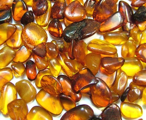 Hổ phách là gì,hổ phách,nhựa cây hóa thạch,nhựa cây hóa đá,huyết phách,minh phách,hồng tùng chi,succinum,căn phòng hổ phách