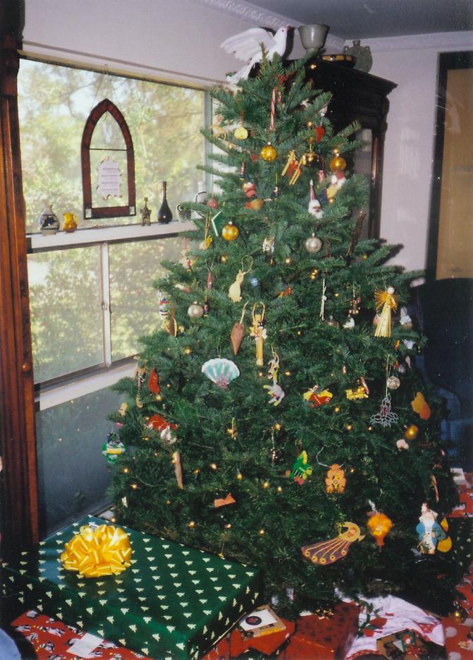 Cây Giáng sinh,cây thông Noel,cây thông Noel,cây thông Nô-en