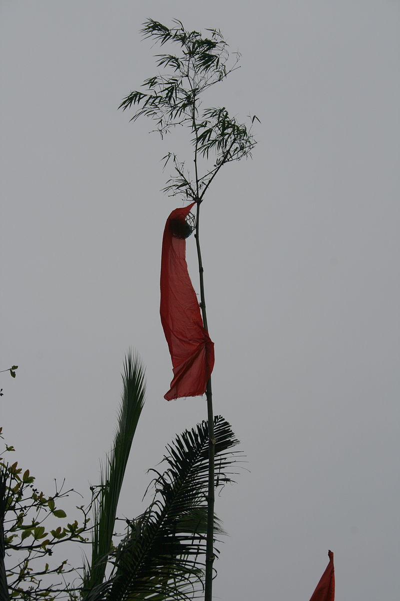 cây nêu là gì,cây nêu,cây nêu ngày Tết,sự tích cây nêu,sự tích cây nêu ngày Tết,ý nghĩa cây nêu,ý nghĩa cây nêu ngày Tết,Tết nguyên đán