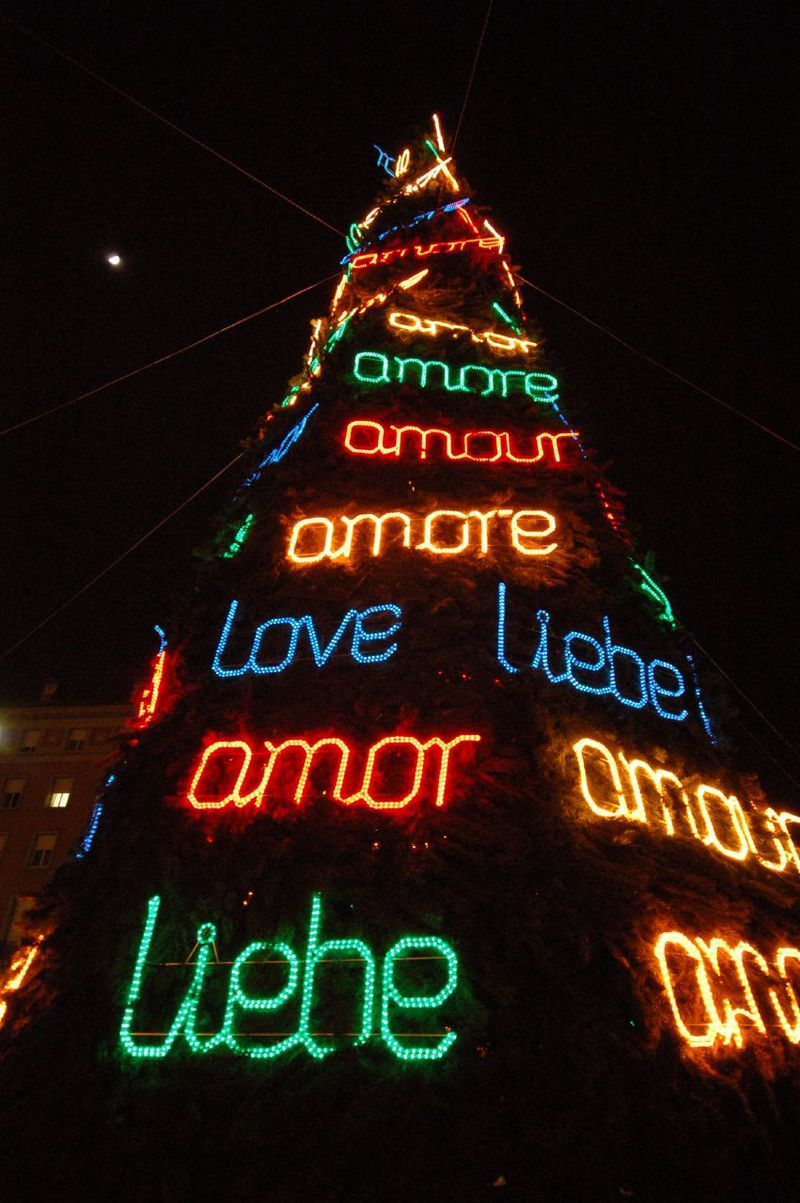 Cây Giáng sinh,cây thông Noel,cây thông Noel,cây thông Nô-en