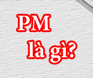 pm là gì,pm,pm là viết tắt của từ gì,pm là viết tắt của từ,private message,personal message,private message,personal message,project manager,product manager,prime minister,presentation manager,post meridiem,phrase modulation,phone me, private message là gì,personal message là gì,project manager là gì,product manager là gì,prime minister là gì,presentation manager là gì,post meridiem là gì,phrase modulation là gì,phone me là gì
