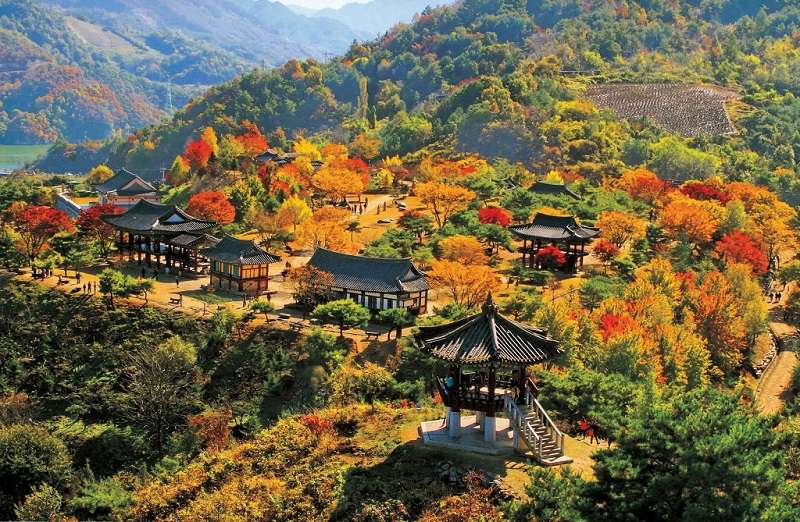 Mùa thu Hàn Quốc ngập tràn lá đỏ,Mùa thu lá đỏ,mùa thu Hàn Quốc,hình ảnh mùa thu Hàn Quốc,mùa thu vàng,con đường mùa thu,phong cảnh mùa thu,lá vàng mùa thu,lá đỏ mùa thu