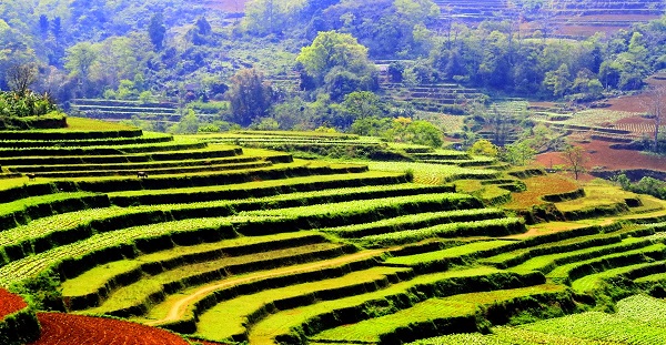 Vài nét về Việt Bắc,Việt Bắc,Thủ đô kháng chiến,Thủ đô kháng chiến Việt Bắc,Liên khu Việt Bắc,Khu tự trị Việt Bắc, Cao - Bắc - Lạng - Hà - Tuyên - Thái, Cao - Bắc - Lạng - Hà - Tuyên - Thái là gì,Thủ đô gió ngàn,Thủ đô gió ngàn là gì