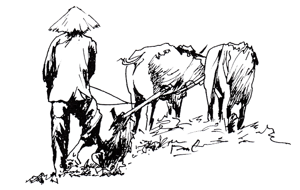 ngụ binh ư nông là gì,ngụ binh ư nông,ngụ binh ư nông có từ thời nào,gửi quân vào nông nghiệp