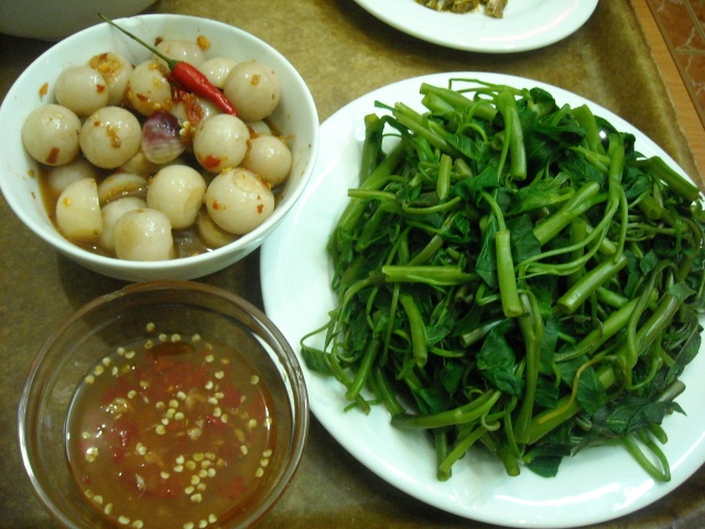 tối nay ăn gì,tối nay ăn gì ở đâu,tối nay ăn gì đây,tối nay ăn món gì,Anh đi anh nhớ quê nhà, Nhớ canh rau muống, nhớ cà dầm tương, Nhớ ai dãi nắng dầm sương, Nhớ ai tát nước bên đường hôm nao
