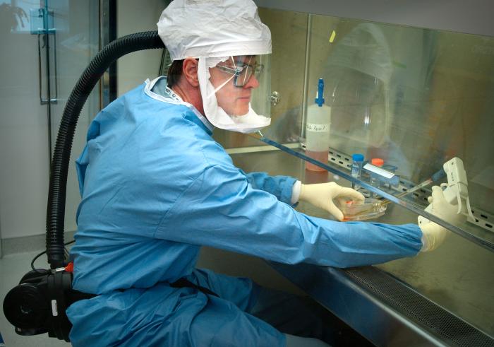 Vắc-xin là gì,Vắc-xin,vac-xin,vắc xin,các loại vắc xin,các loại vacxin,Nuôi cấy virus cúm (chủng gây đại dịch năm 1918) phục vụ nghiên cứu và sản xuất vắc-xin