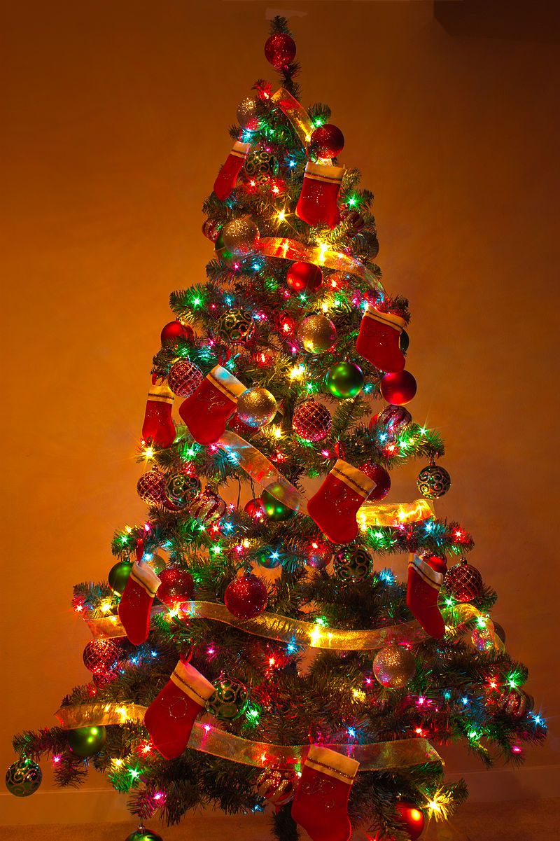 Cây Giáng sinh,cây thông Noel,cây thông Noel,cây thông Nô-en