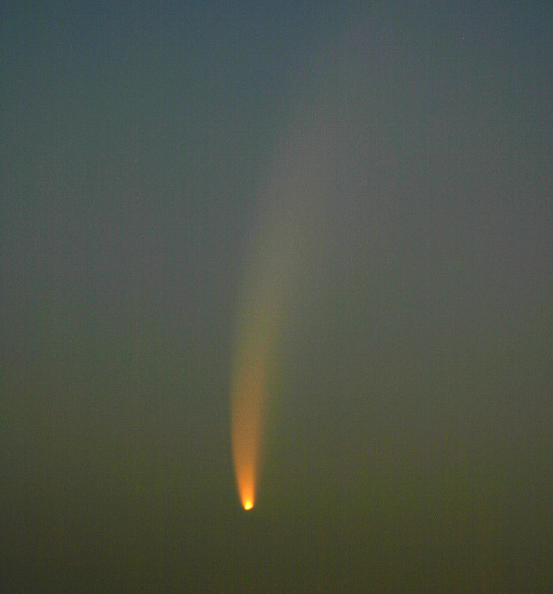 Sao chổi McNaught