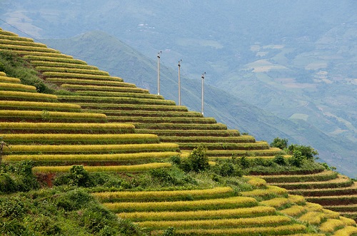 Ruộng lúa bậc thang chín vàng,Lào Cai,Vài nét về tỉnh Lào Cai,Lào Cai
