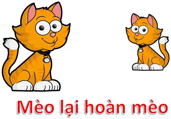 Mèo lại hoàn mèo là gì,mèo lại hoàn mèo,giải thích câu mèo lại hoàn mèo,câu chuyện mèo lại hoàn mèo,truyện ngụ ngôn mèo lại hoàn mèo,truyện mèo lại hoàn mèo,mèo lại hoàn mèo tiếng Anh,the cat is the cat,At last a cat comes back to its skin