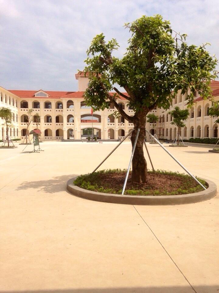 Trung học Phổ thông Kim Sơn B,Trung học Phổ thông Kim Sơn B Ninh Bình,Khánh thành THPT Kim Sơn B,Khánh thành THPT Kim Sơn B,Chủ tịch nước Trần Đại Quang dự lễ khánh thành THPT Kim Sơn B