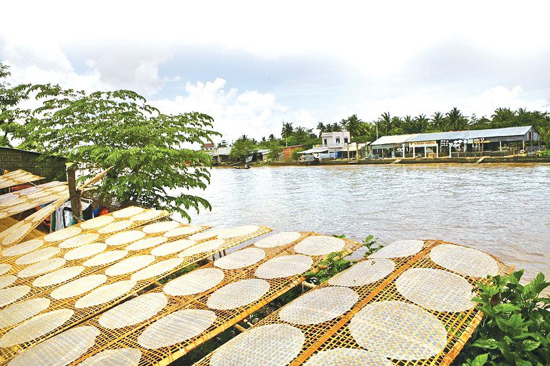 bánh tráng phơi sương là gì,bánh tráng phơi sương,bánh tráng là gì,bánh tráng,bánh tráng phơi sương tây ninh,bánh tráng phơi sương Trảng Bàng Tây Ninh,bánh tráng phơi sương Trảng Bàng,Quy trình làm bánh tráng,cách làm bánh tráng