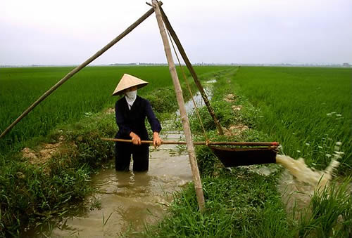 gầu sòng,Tát nước bằng gầu sòng,Ba thằng đứng tréo cổ gà,Một thằng đứng giữa chạy ra chạy vào