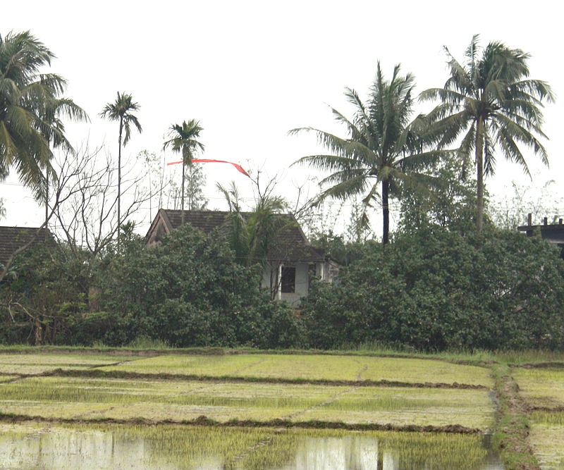 cây nêu là gì,cây nêu,cây nêu ngày Tết,sự tích cây nêu,sự tích cây nêu ngày Tết,ý nghĩa cây nêu,ý nghĩa cây nêu ngày Tết,Tết nguyên đán