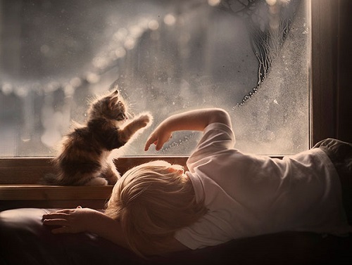 những hình ảnh sẽ khiến bạn thấy được tình bạn giữa con trẻ và mèo,Mèo là một người bạn tuyệt vời của con trẻ,Mèo dịu dàng an ủi em bé khi buồn,Mèo luôn là người bạn dịu dàng nhất với bé,Giữa bé và mèo luôn có một sợi dây gắn kết