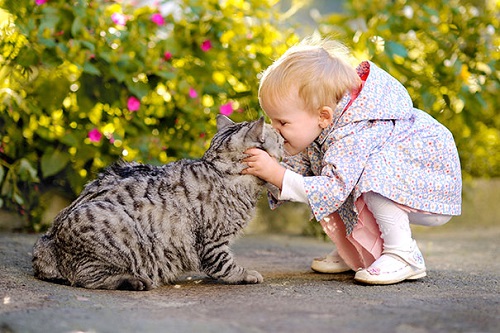 những hình ảnh sẽ khiến bạn thấy được tình bạn giữa con trẻ và mèo,Mèo là một người bạn tuyệt vời của con trẻ,Mèo dịu dàng an ủi em bé khi buồn,Mèo luôn là người bạn dịu dàng nhất với bé,Giữa bé và mèo luôn có một sợi dây gắn kết