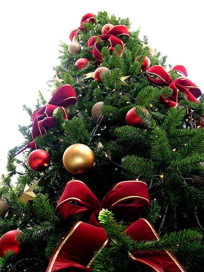 Cây Giáng sinh,cây thông Noel,cây thông Noel,cây thông Nô-en