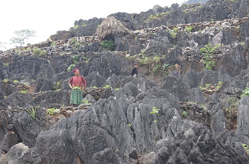 Cao nguyên đá Đồng Văn,Hà Giang