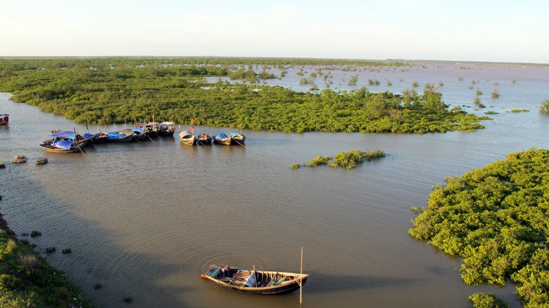 Rừng ngập mặn Kim Sơn Ninh Bình,Khu dự trữ Sinh quyển thế giới