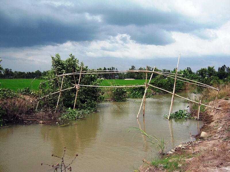 Cầu khỉ làm bằng tre.