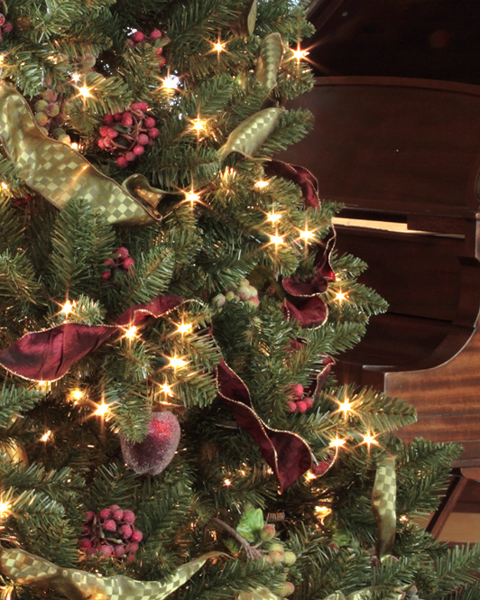 Cây Giáng sinh,cây thông Noel,cây thông Noel,cây thông Nô-en