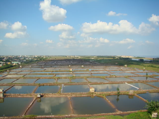 Đầm nuôi tôm cua,Kim Sơn Ninh Bình
