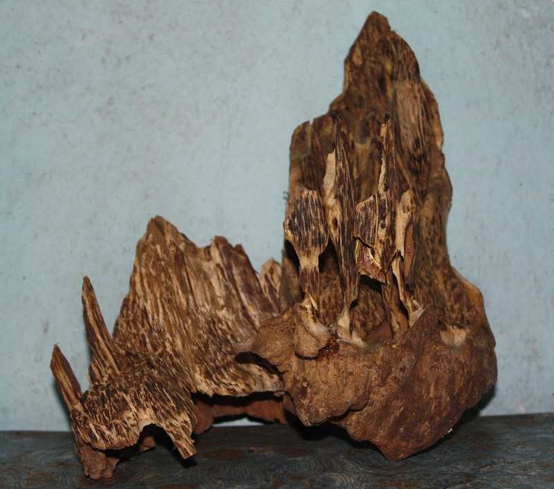 Trầm là gì,Kỳ nam là gì,Trầm hương là gì,Trầm,Kỳ,Trầm hương,Kỳ nam,Trầm và kỳ,Trầm hương và Kỳ nam,Phân biệt trầm và kỳ,Cách phân biệt trầm và kỳ,phân biệt trầm hương và kỳ nam,cách phân biệt trầm và kỳ,trầm có mấy loại,trầm hương có mấy loại,kỳ nam có mấy loại,các loại trầm hương,các loại kỳ nam,nhất bạch nhị thanh tam huỳnh tứ hắc,công dụng của trầm hương,tác dụng của trầm hương