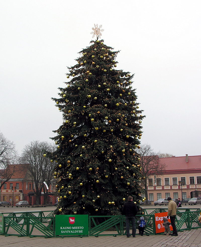 Cây Giáng sinh,cây thông Noel,cây thông Noel,cây thông Nô-en