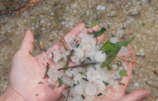 Mưa đá là gì,mưa đá,hình ảnh mưa đá,hail,trận mưa đá