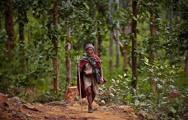 Bộ tộc vẫn sống như thời nguyên thủy ở Nepal,Những hình ảnh ghi lại cuộc sống của người Raute ở vùng Surkhet,phía đông Nepal,Bộ tộc này ngủ trong lều vải,sống bằng cách săn bắn và hái lượm như chục nghìn năm trước,người Raute,Bộ tộc,sống như thời nguyên thủy,Nepal
