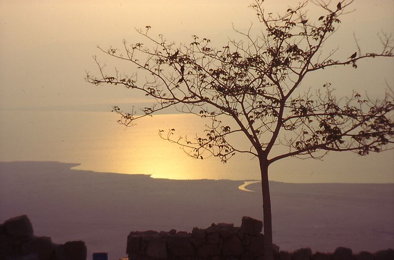 biển chết là gì,biển chết,tại sao gọi là biển chết,Dead Sea,Sea of Salt,biển Chết có sự sống hay không,không có sự sống trên biển chết,biển chết ở đâu