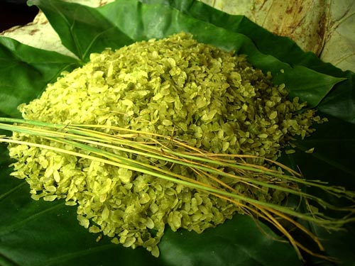 Cốm khác bánh cốm chỗ nào,cốm,bánh cốm,cốm làng Vòng,đặc sản cốm làng Vòng,bánh cốm Hàng Than,cách làm cốm,cách làm bánh cốm,nguyên liệu làm bánh cốm,làm cốm như thế nào,làm bánh cốm như thế nào,cốm gói lá sen,Cốm Vòng gạo tám Mễ Trì,Tương Bần húng Láng còn gì ngon hơn,cốm Mễ Trì,cốm Thanh Hương,cốm dẹp,Cốm hộc Phan Thiết,Cốm nếp Phong Hậu