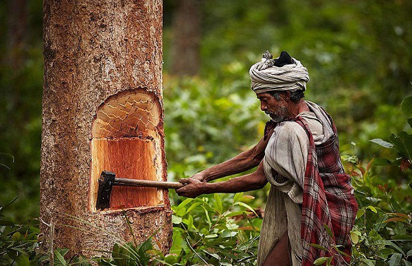 Bộ tộc vẫn sống như thời nguyên thủy ở Nepal,Những hình ảnh ghi lại cuộc sống của người Raute ở vùng Surkhet,phía đông Nepal,Bộ tộc này ngủ trong lều vải,sống bằng cách săn bắn và hái lượm như chục nghìn năm trước,người Raute,Bộ tộc,sống như thời nguyên thủy,Nepal