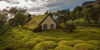 Những mái nhà xanh tuyệt đẹp ở xứ Scandinavi,xứ Scandinavi,Nhà thân thiện với môi trường,Mái nhà xanh,Mái nhà phủ cây xanh,Những mái nhà xanh tuyệt đẹp ở xứ Scandinavi