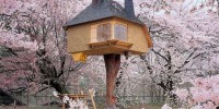 10 ngôi nhà trên cây siêu đẹp trên thế giới,Ngôi nhà trên cây,Ngôi nhà độc đáo,Ngôi nhà,Teahouse Tetsu tree house,Living the Highlife Tree House,10 ngôi nhà trên cây siêu đẹp trên thế giới