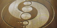 Những vòng tròn bí ẩn trên cánh đồng,Vòng tròn bí ẩn,Bí ẩn Crop circle,Crop circle,Kiệt tác trên cánh đồng,Những vòng tròn bí ẩn trên cánh đồng