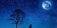 nguyên nhân hành tinh không sáng nhấp nháy như ngôi sao,phân biệt ngôi sao và hành tinh,hành tinh,ngôi sao,ánh sáng nhấp nháy,Nguyên nhân hành tinh không sáng nhấp nháy như ngôi sao