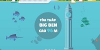 khám phá đại đương,sinh vật dưới biển sâu,độ sâu của biển,đáy đại dương,áp lực dưới đáy biển,Độ sâu khó tin của biển xanh và những sự thật chẳng ai ngờ đến dưới đáy đại dương