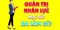 Ngành quản trị nhân lực ra làm gì,Ngành Quản Trị Nhân Lực Là gì? Học Ngành Quản Trị Nhân Lực Ra Làm Gì?