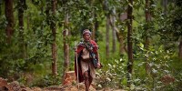 Bộ tộc vẫn sống như thời nguyên thủy ở Nepal,Những hình ảnh ghi lại cuộc sống của người Raute ở vùng Surkhet,phía đông Nepal,Bộ tộc này ngủ trong lều vải,sống bằng cách săn bắn và hái lượm như chục nghìn năm trước,người Raute,Bộ tộc,sống như thời nguyên thủy,Nepal,Bộ tộc vẫn sống như thời nguyên thủy ở Nepal