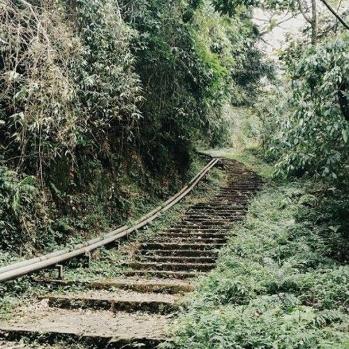 Tam Đảo (Vĩnh Phúc),Tam Đảo,Du lịch Tam Đảo