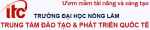 Trung tâm Đào tạo và Phát triển Quốc tế - Trung tâm Đào tạo và Phát triển Quốc tế,Chương trình tiên tiến,Thực tập sinh,Đào tạo tiếng Anh,Du học và liên kết đào tạo