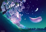 Bầu trời đêm vắng vẻ