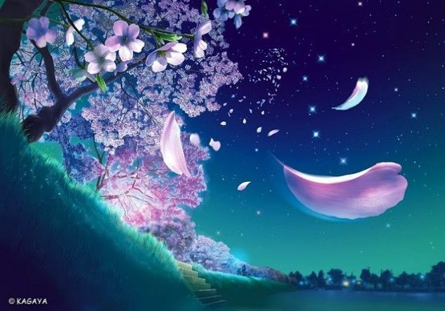 Bầu trời đêm vắng vẻ