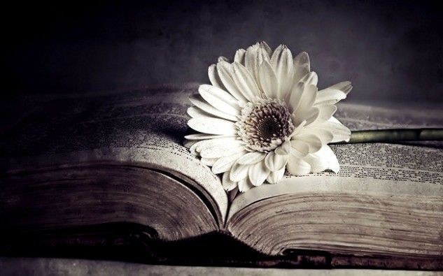 Nhóm nhiều nỗi buồn
