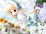 OTAKU and Fan ANIME