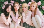 Fan Blackpink