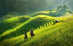 I LOVE VIET NAM